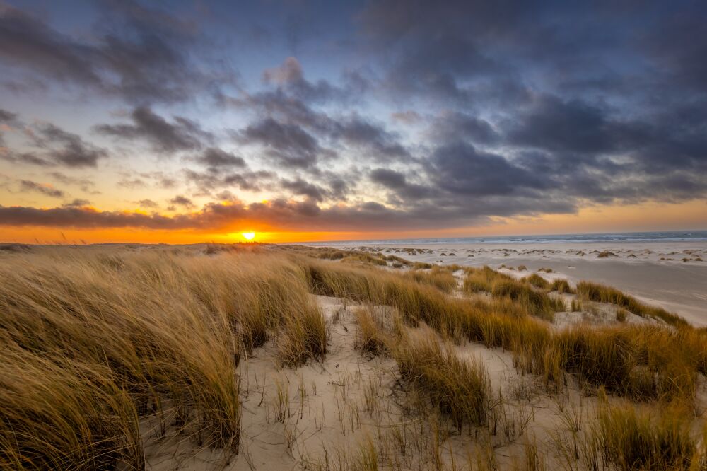 Zonsopkomst op Texel in de duinen