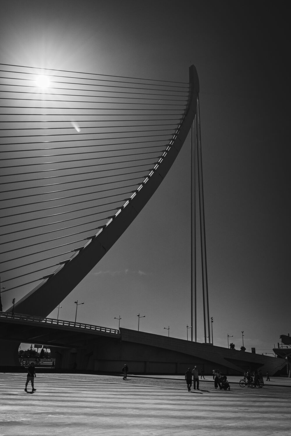 Brug bij Ciudad de las Artes y las Ciencias, Valencia