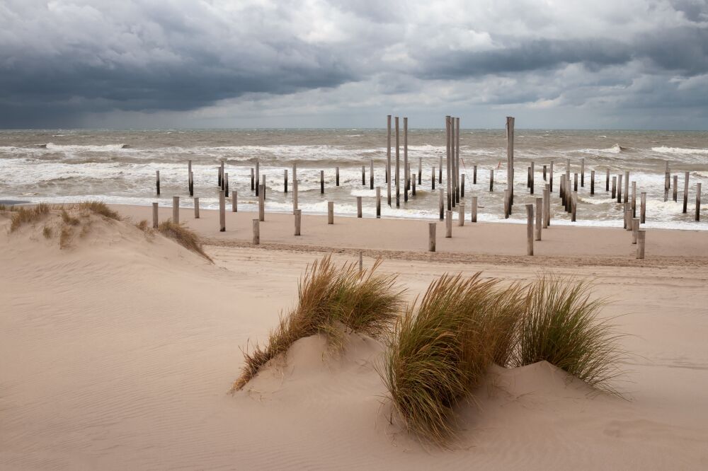 Palendorp Petten Noord-Holland