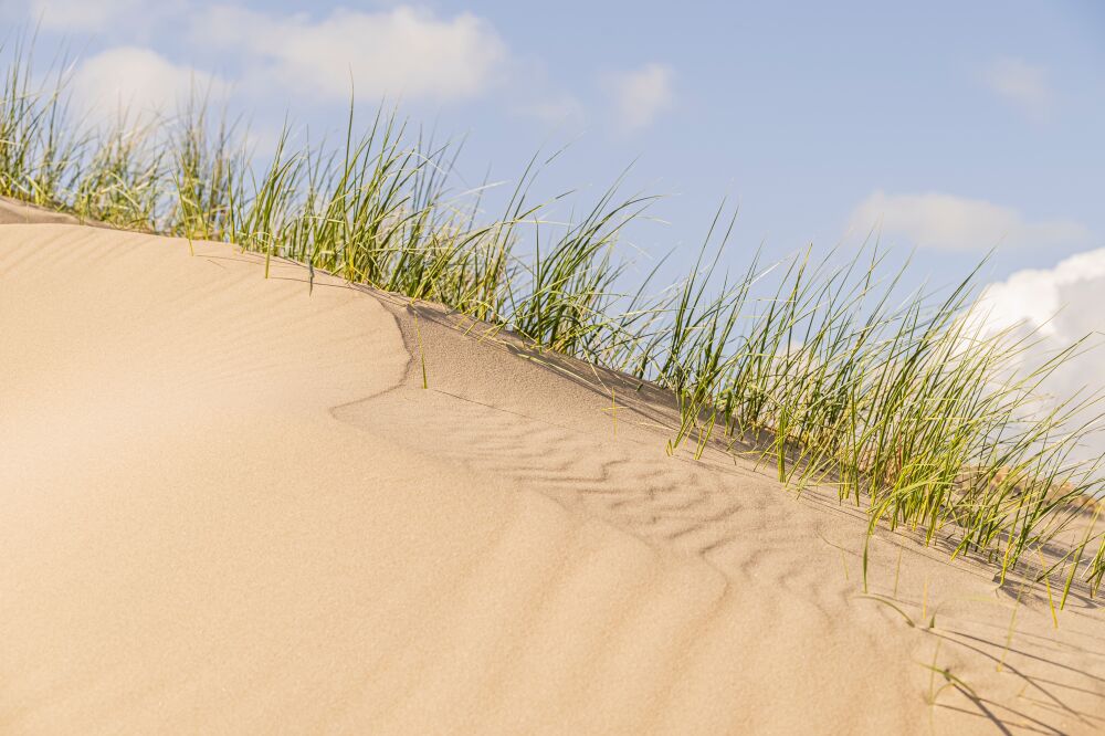 Gevormde lijnen in het zand van de duinen