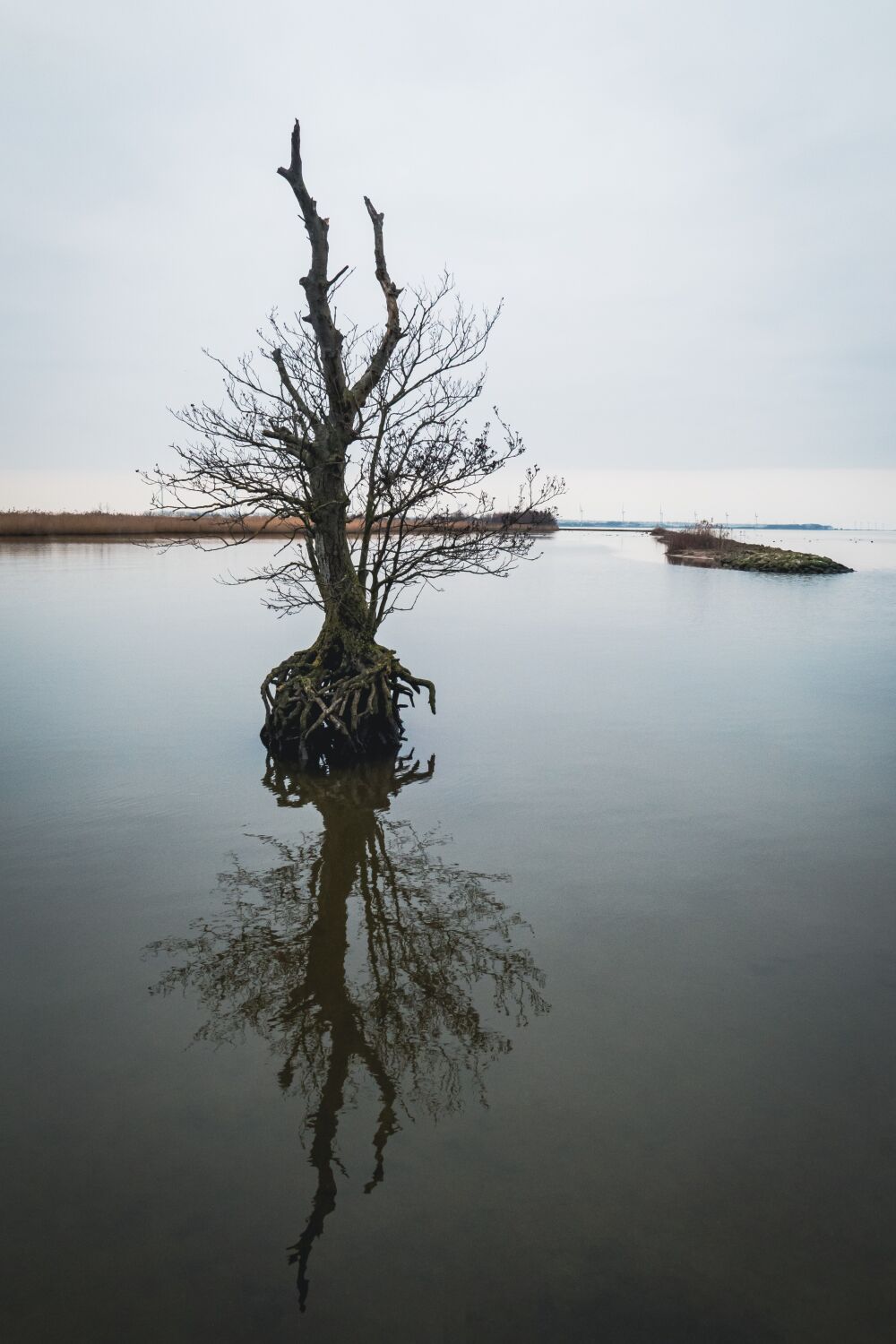 Spiegeling kleur