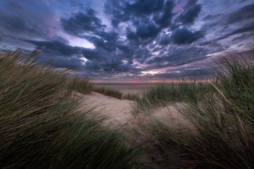 Texel zonsopkomst in de duinen