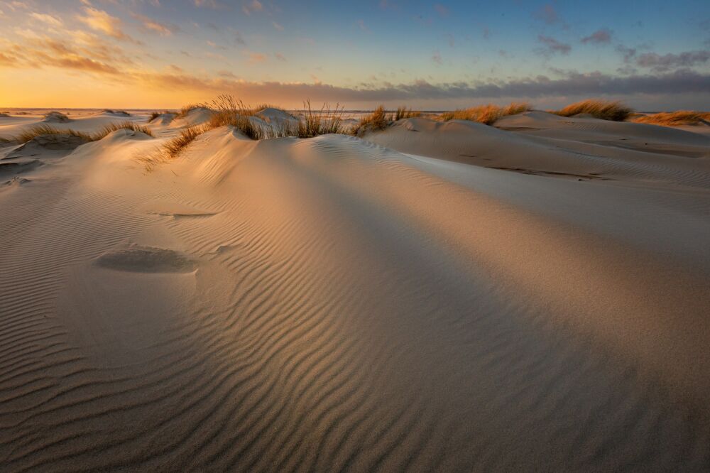 Een sfeervolle avond in de duinen