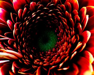 Digitale art met een bloem