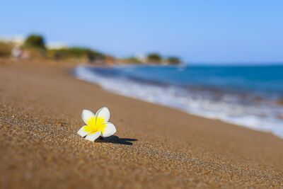 on sandy beach