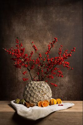 Modernes stillleben mit roten beeren und getrockneten Früchten