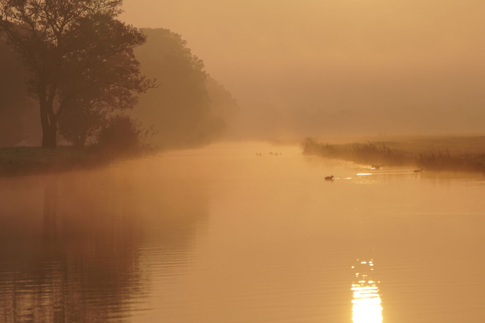 Morgenrood