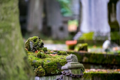 Schedel begraafplaats te Brugge