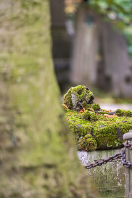 Schedel begraafplaats te Brugge