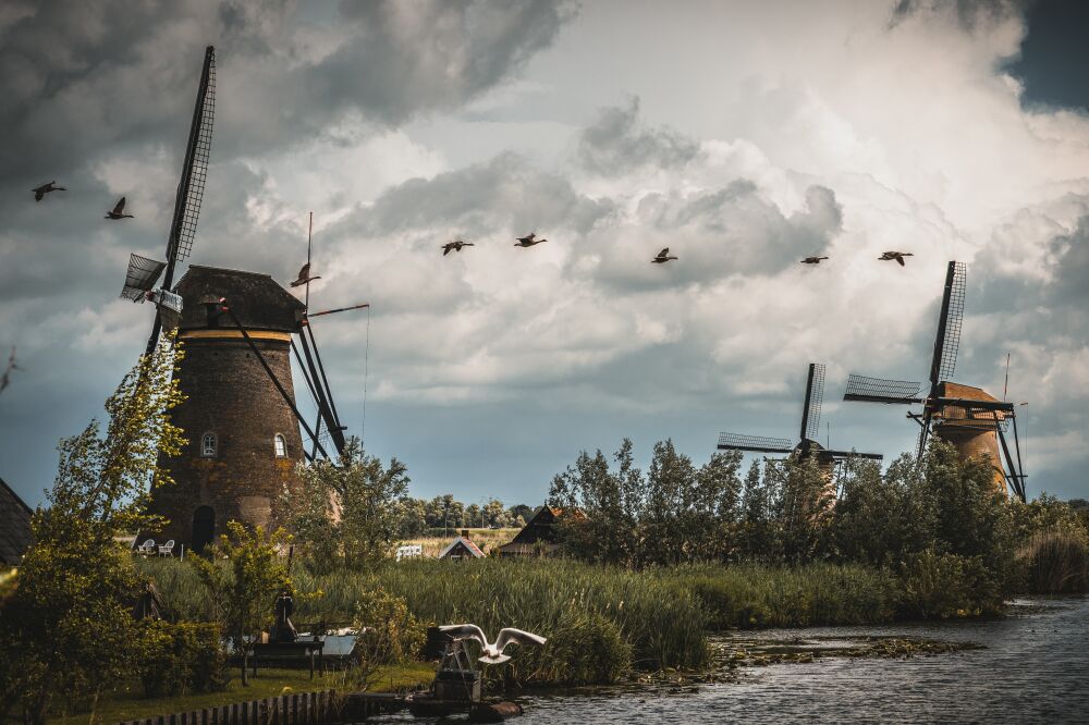 Kinderdijk X