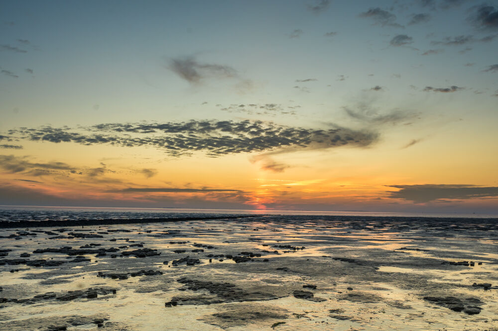 Waddengebied bij Koehool