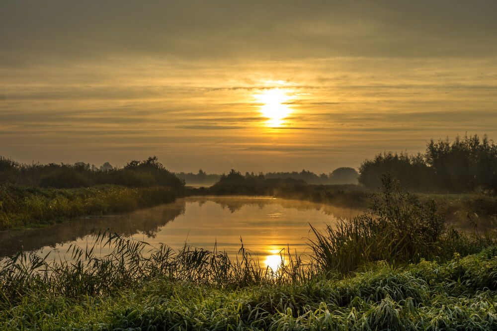 Zonsopgang in natuurgebied Rottige Meente