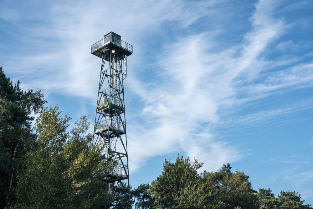 Uitkijktoren in de Kalmthoutse Heide