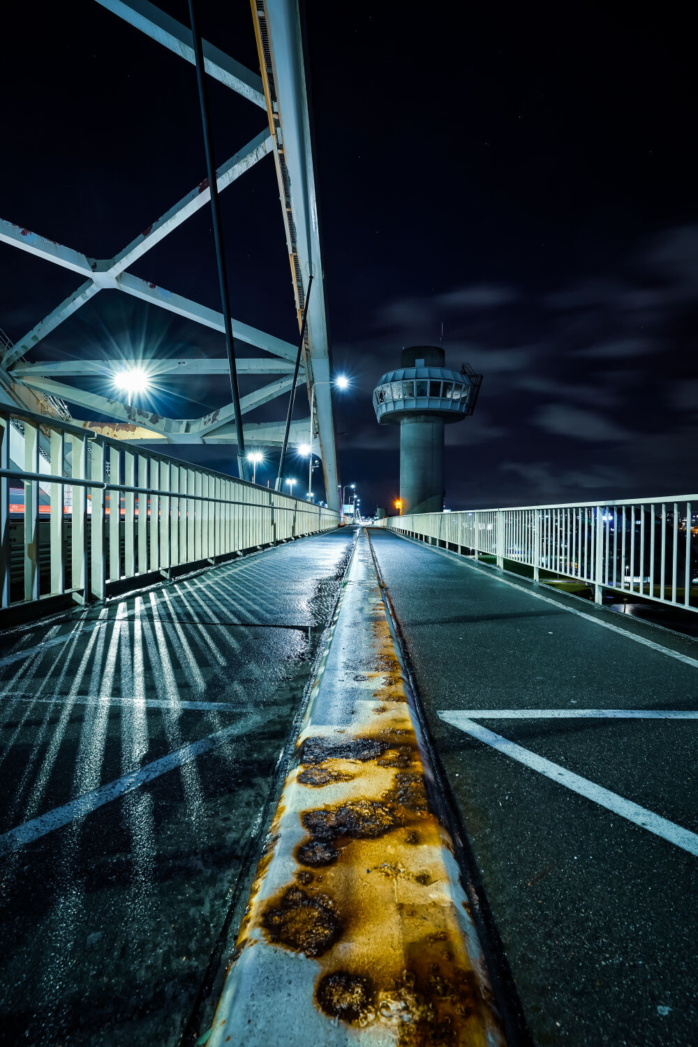 Bicycle lane - Van Brienenoordbrug