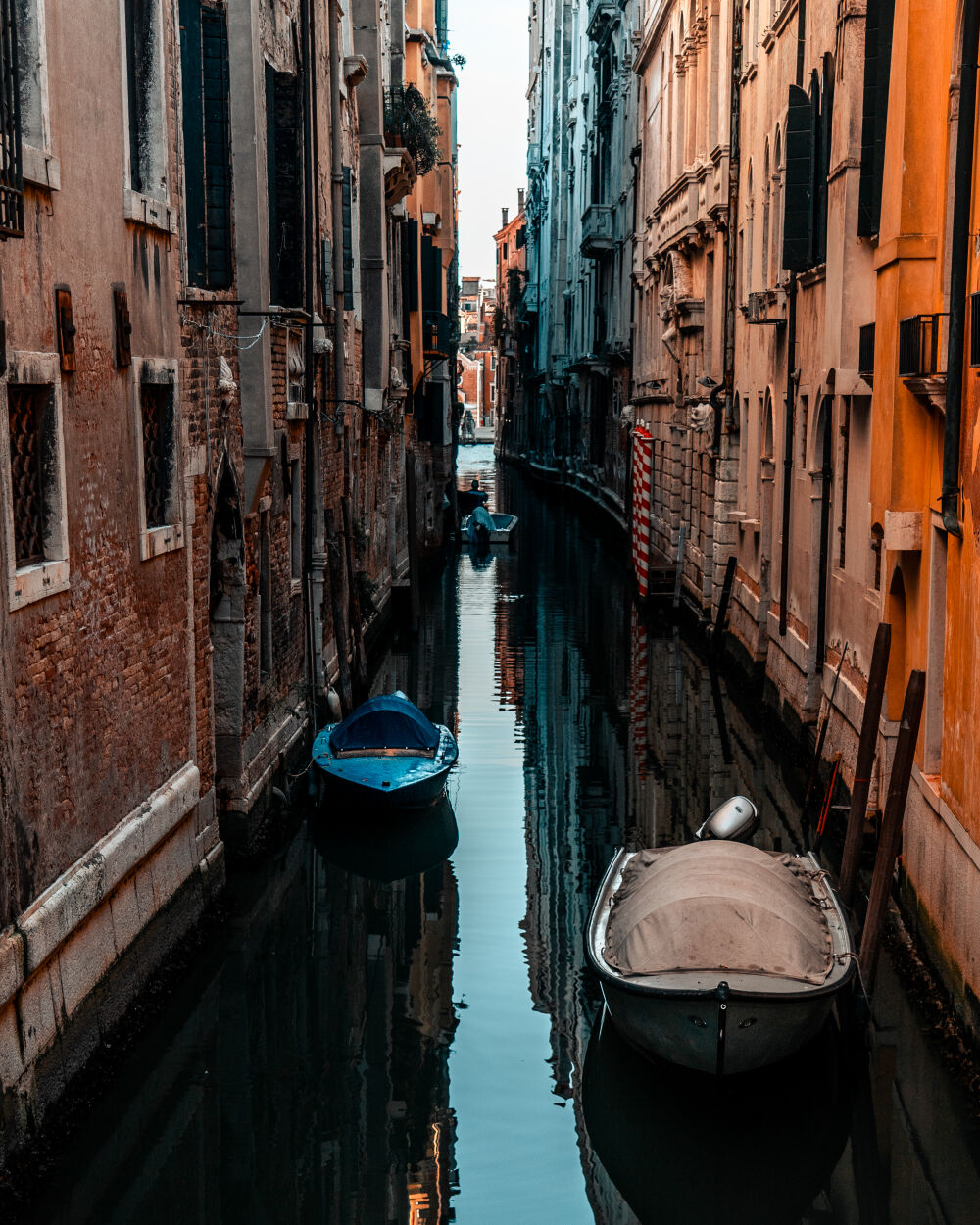 Natural alleys in Venice
