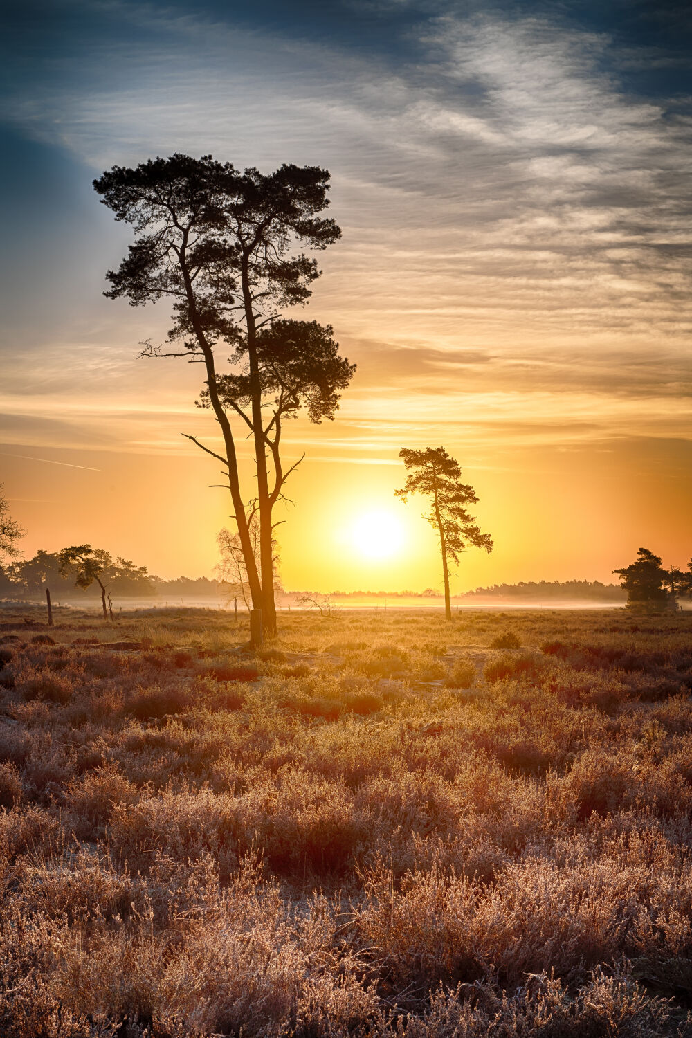 Zonsondergang op de Loonse en Drunense Duinen