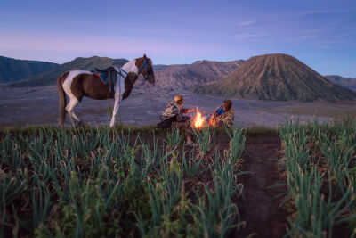 Tengger men with their horse and Mt Bromo in the background