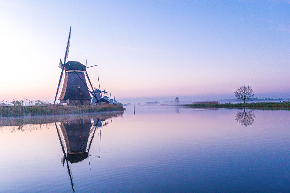 Kinderdijk in de vroege morgen