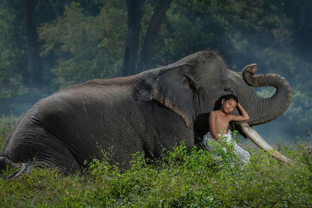 Taking a nap with my friend