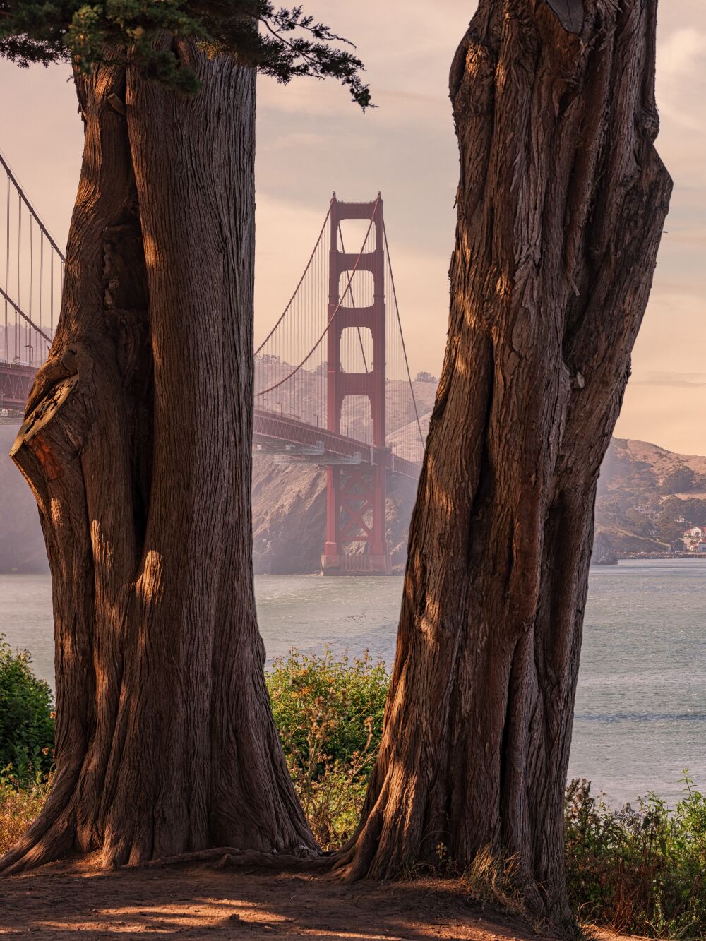 Golden Gate View