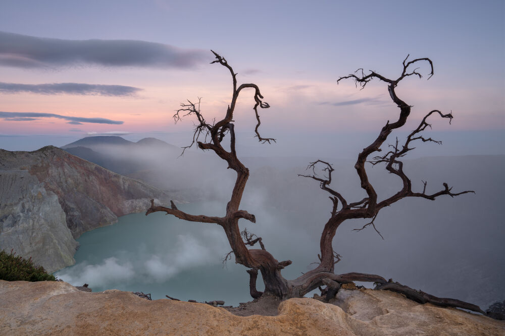 Dead tree on the top of Mt Ijen in East Java