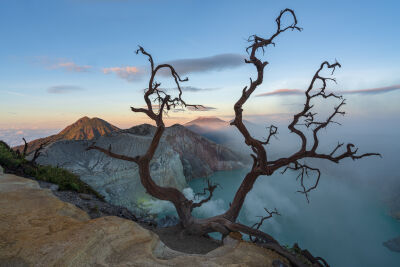 An old dead tree above the crater lake of Mt Ijen in East Java