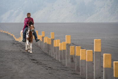Lonely horse rider on the sand savanna of Mt Bromo, East Java