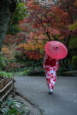 Japanese lady in a park in autumn