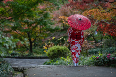 Japanese lady in the park in autumn (horizontal)