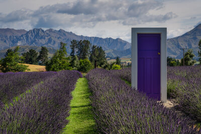 Door to the lavender fields in New Zealand