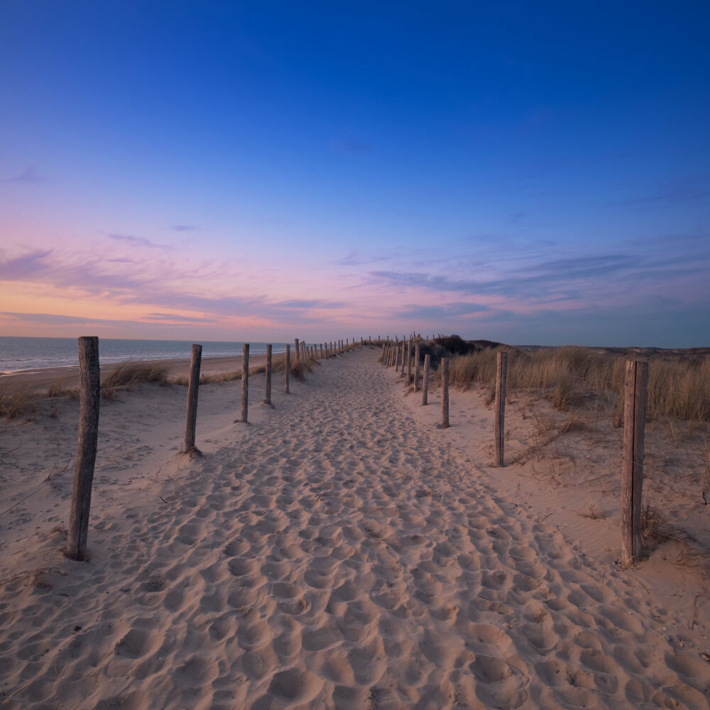 Zandpad langs de duinen en de zee