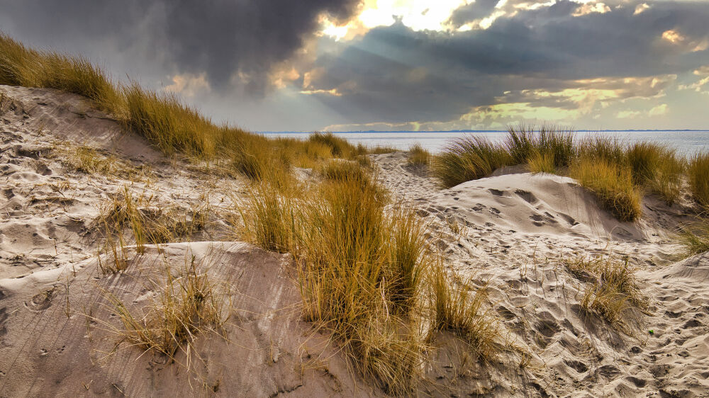 Dunes & Clouds