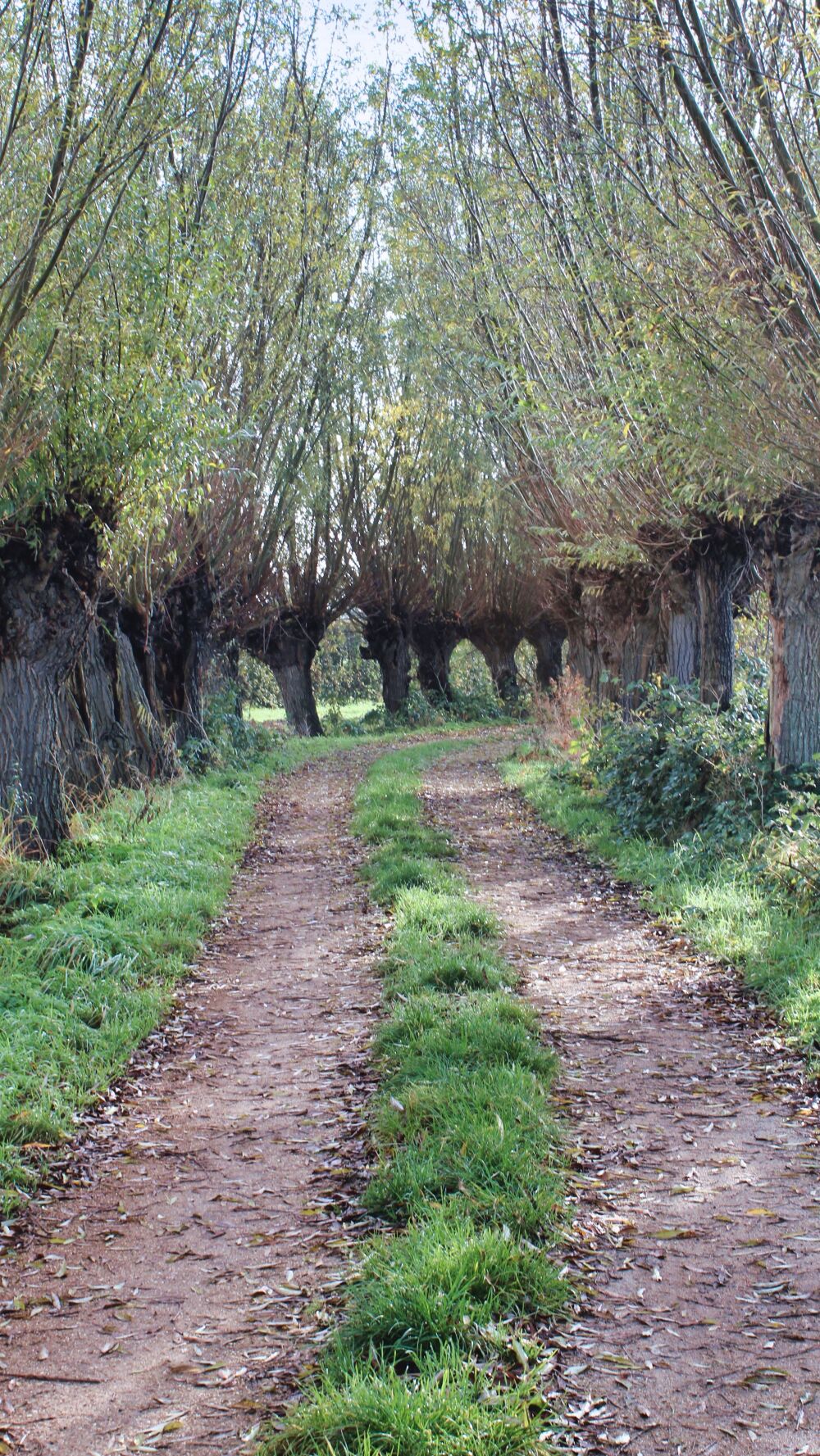 A deserted path