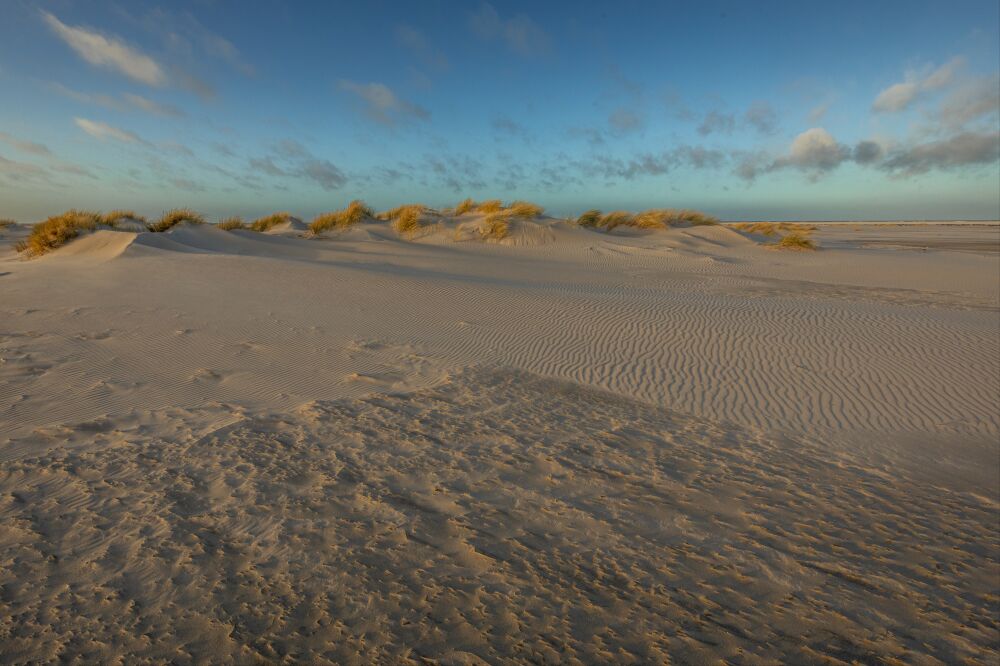 Schitterend duinlandschap in de ochtend