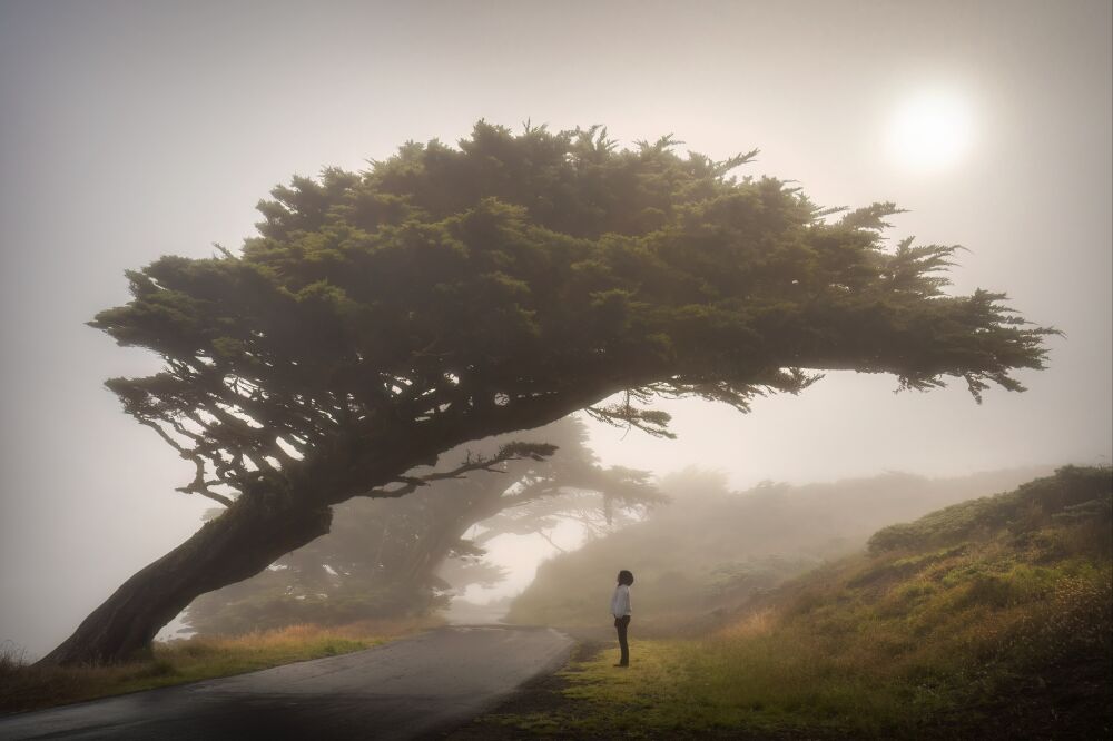 Verenigde Staten - Californië