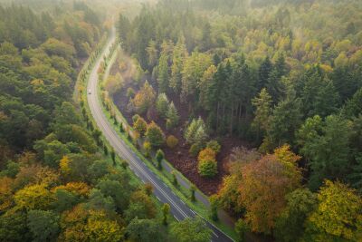 Autumn road