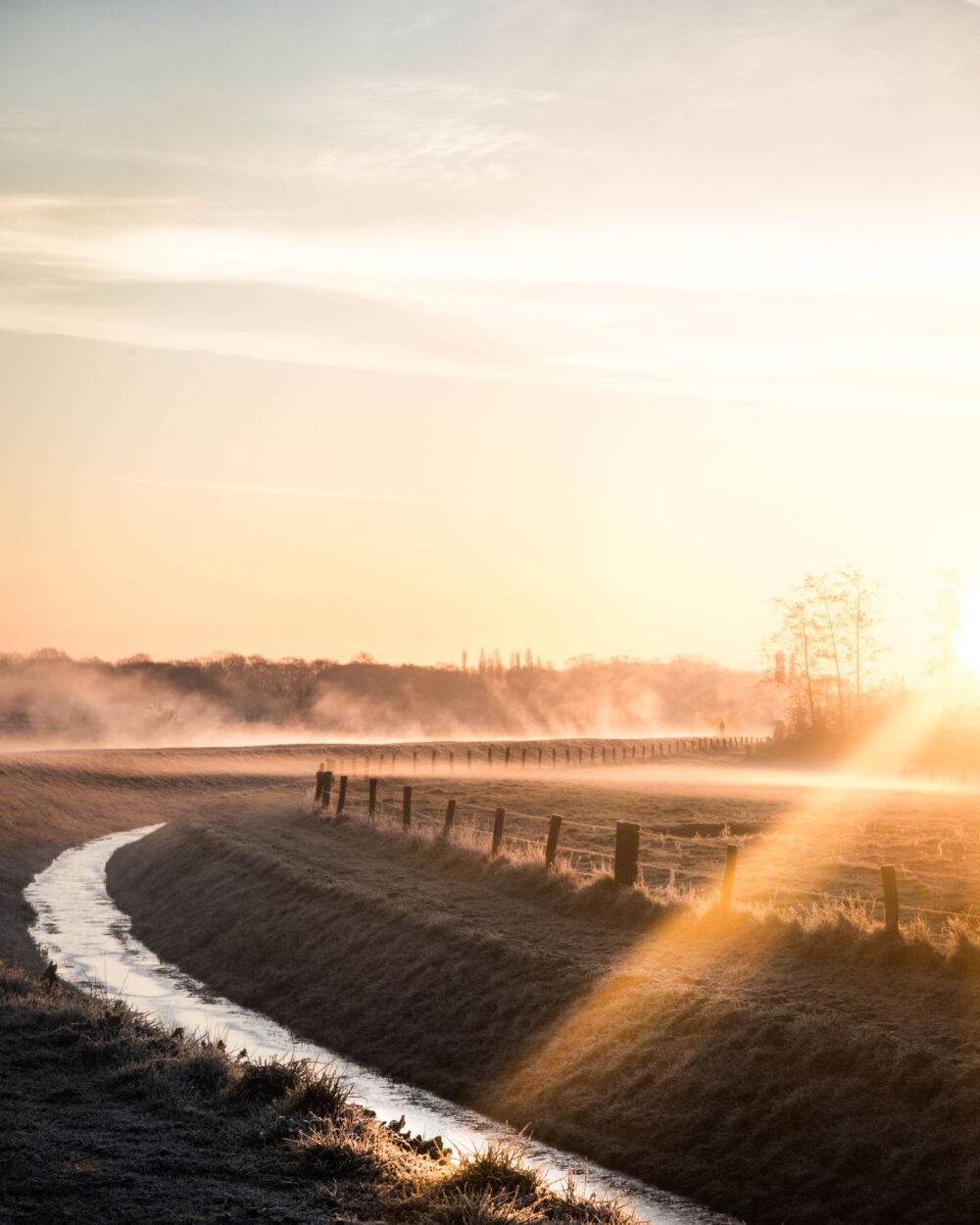 Prachtige mistige ochtend in halder