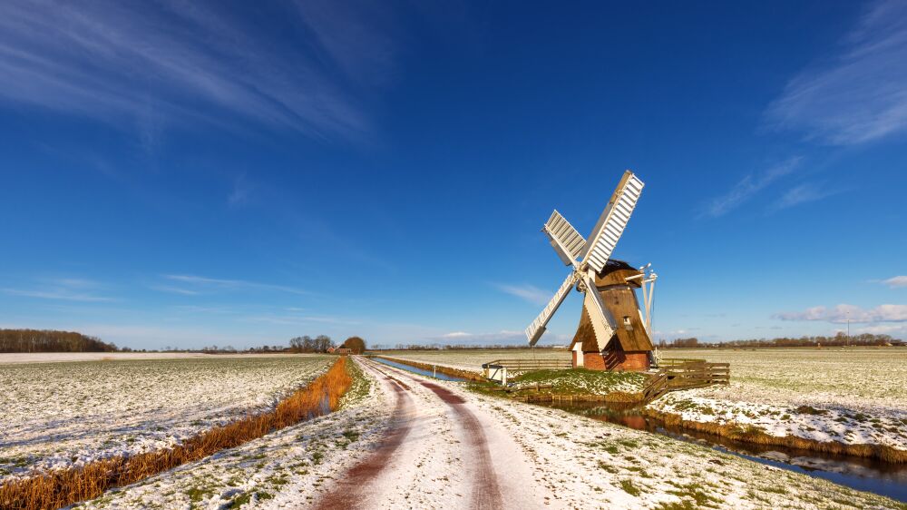 Molen 't Witte Lam in Zuidwolde