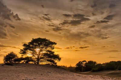 Sunset Wekeromse Zand The Netherlands