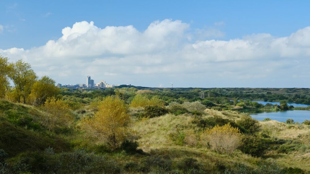 Zicht op Scheveningen vanaf de Meijendelse Berg