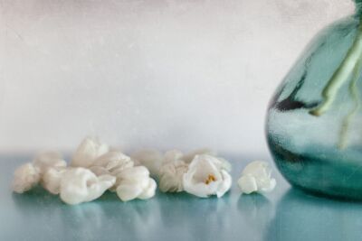 White tulips next to a Spanish glass vase (I)