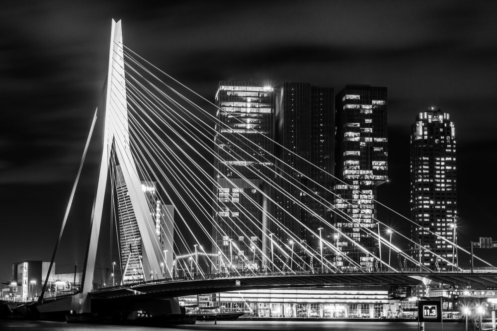 Erasmus Bridge #01