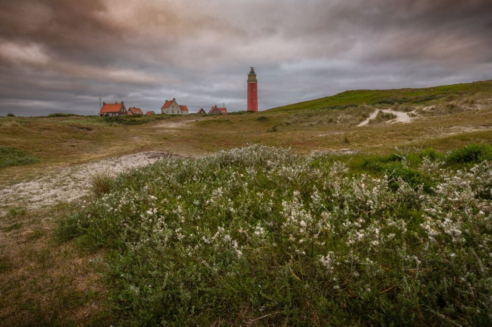 Vuurtoren Eierland op Texel