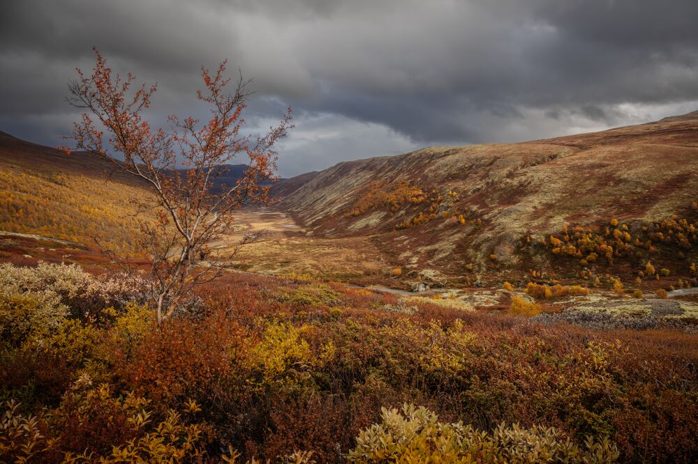 Een landschappelijk vergezicht in de herfst