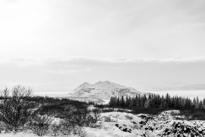 Winterse Stilte Monochroom Landschap