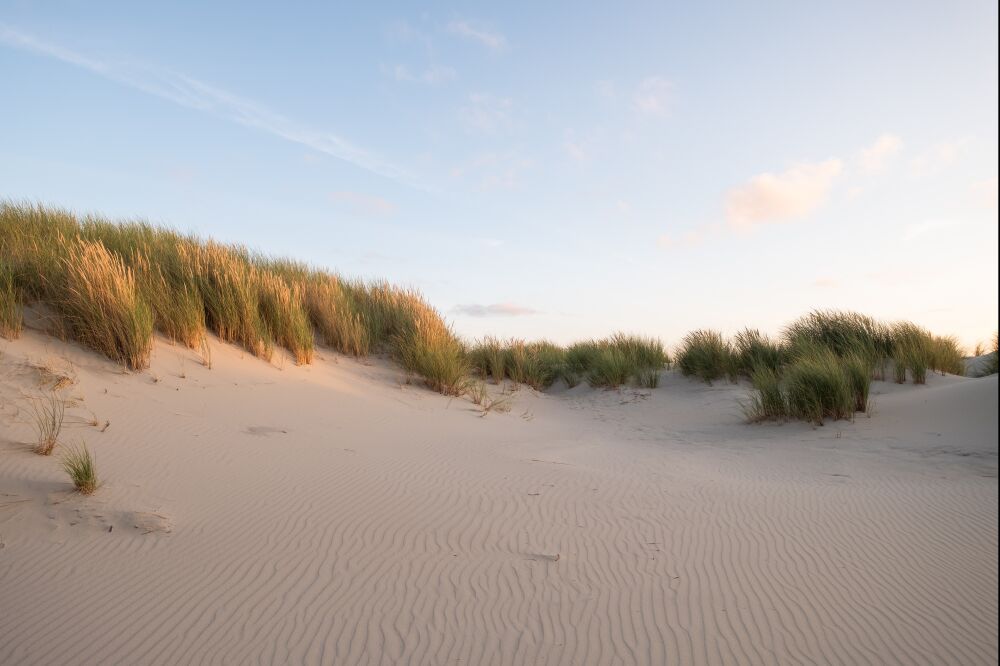 Rustige duinen