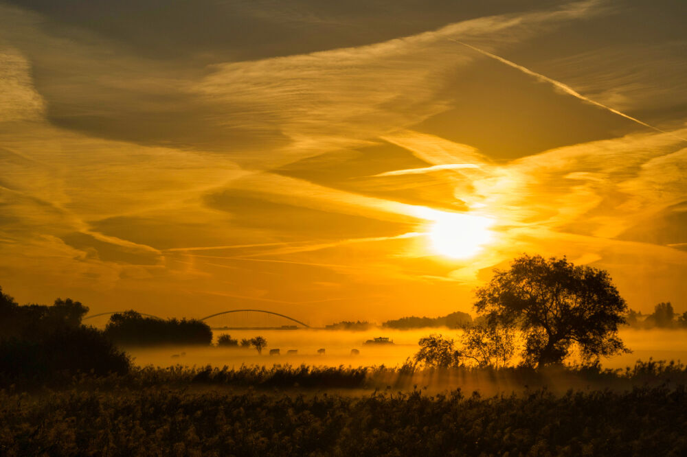 Zonsopkomst boven de rivier de Merwede