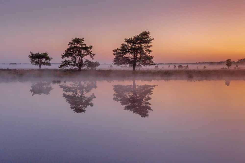 Een zonsopgang met pasteltinten