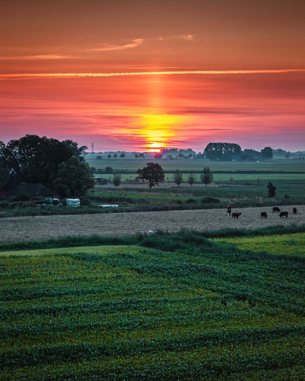 Oergebied Ubbega