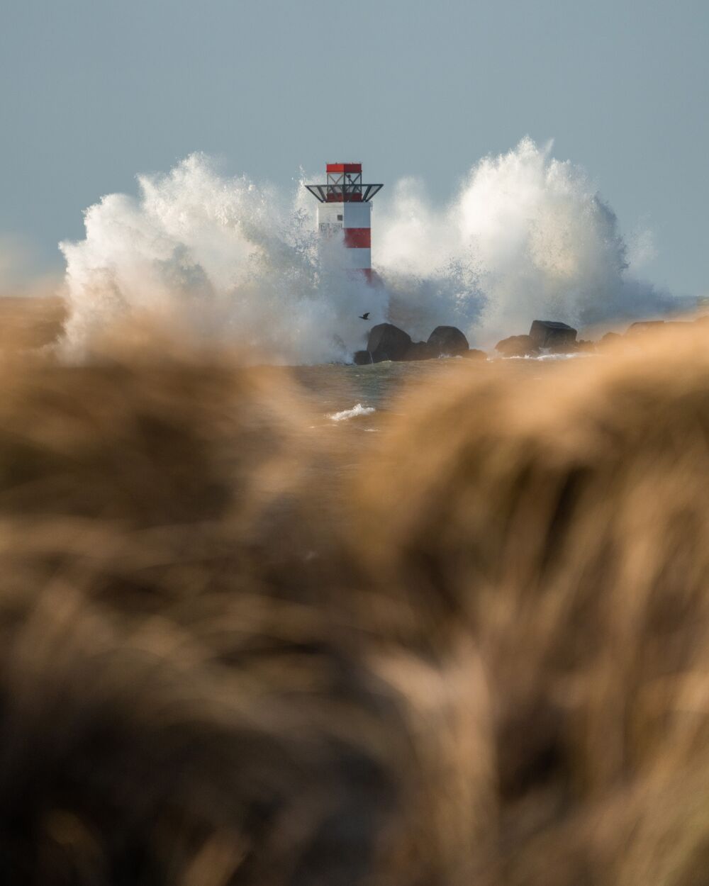 De vuurtoren